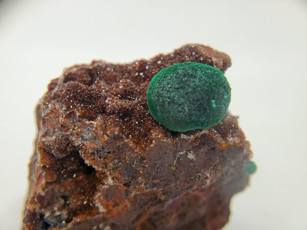 Botryoidal Malachite with Druzy Quartz, Morocco For Discount