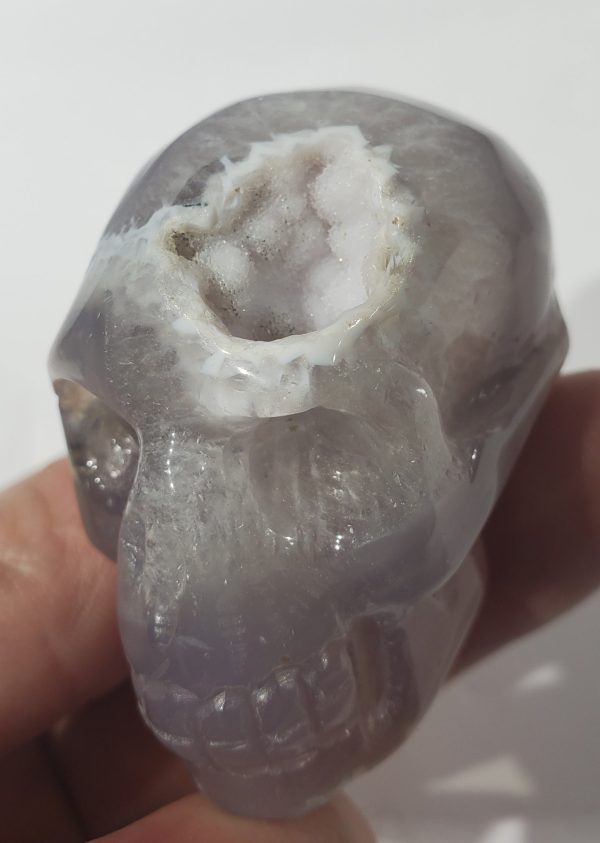 Agate Skull w  Druzy Quartz Online now