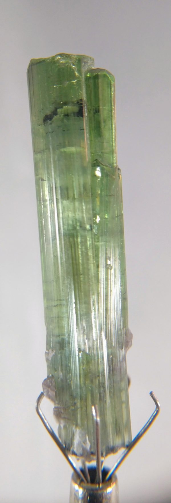 Verdelite Tourmaline Supply