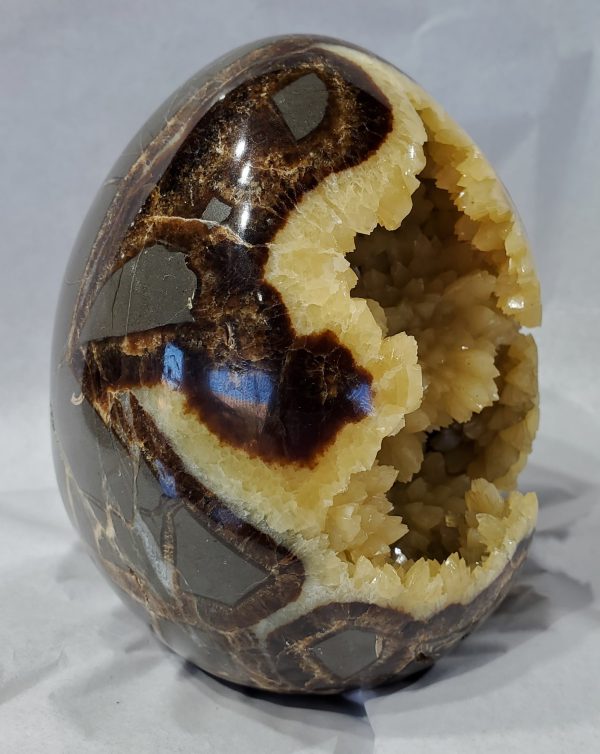 Septarian Egg, Utah Sale