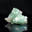 Fluorite w  Quartz, El Hammam Mine, Morocco Online Sale