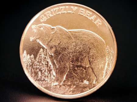 1 Oz Copper Coin (Grizzly Bear), Michigan Hot on Sale