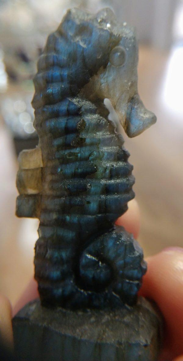 Labradorite Seahorse For Cheap