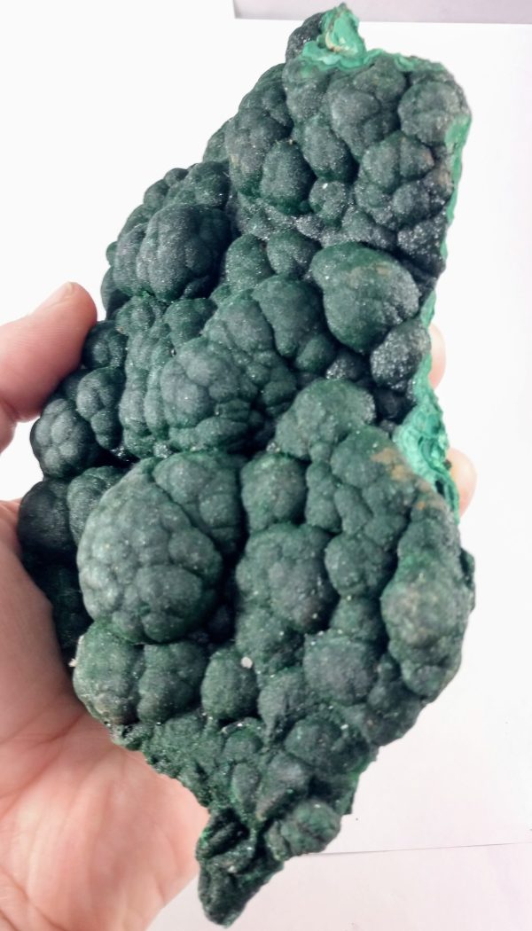 Botryodial Malachite, DRC Supply