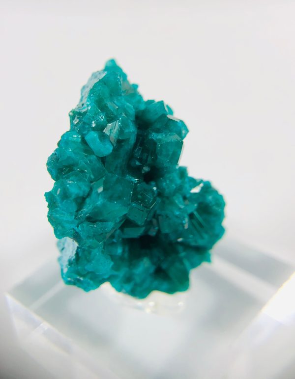 Dioptase Specimen, DRC on Sale