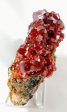 Vanadinite from Morocco Online