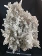 Quartz with Pyrite For Sale