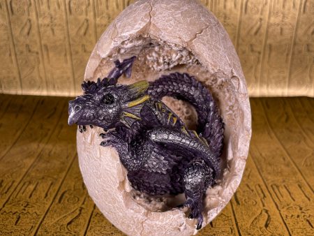 Dragon Hatchling Online Sale