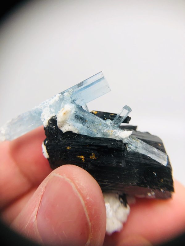 Aquamarine w  Schorl Tourmaline, Namibia Supply