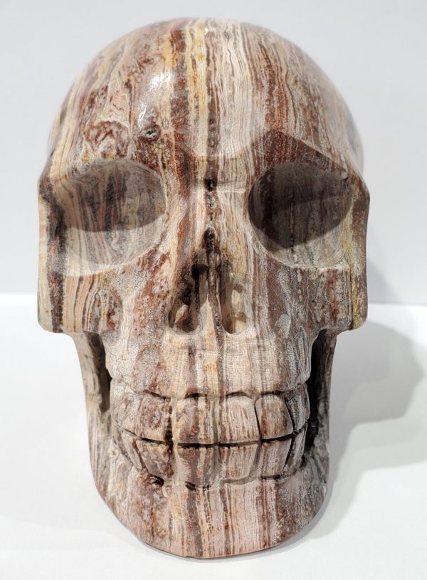 Santa Sophia Ryolite Skull For Cheap