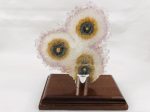 Amethyst Stalactite Slices in Wood Bases Online Hot Sale