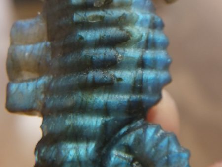 Labradorite Seahorse For Cheap