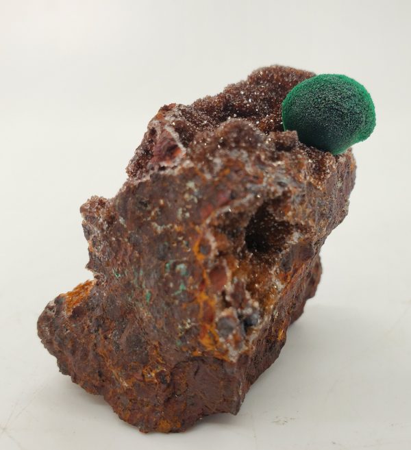 Botryoidal Malachite with Druzy Quartz, Morocco For Discount