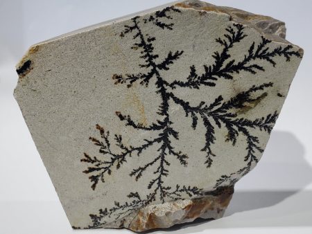 Dendrite (Utah) Online