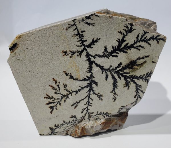 Dendrite (Utah) Online