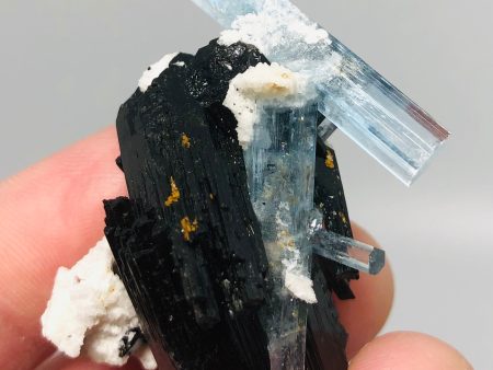 Aquamarine w  Schorl Tourmaline, Namibia Supply