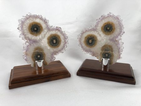 Amethyst Stalactite Slices in Wood Bases Online Hot Sale