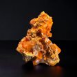 Wulfenite, Puzzler Mine, Arizona, USA Supply