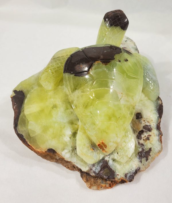 Prehnite Turtle Carving, Australia Online now