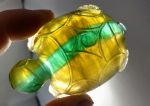 Fluorite Turtle Supply