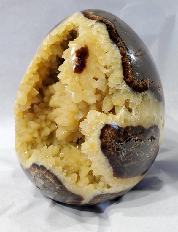 Septarian Egg, Utah Sale