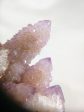 Cactus Quartz Online now