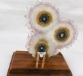 Amethyst Stalactite Slices in Wood Bases Online Hot Sale