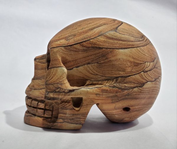 Sandstone Skull on Sale