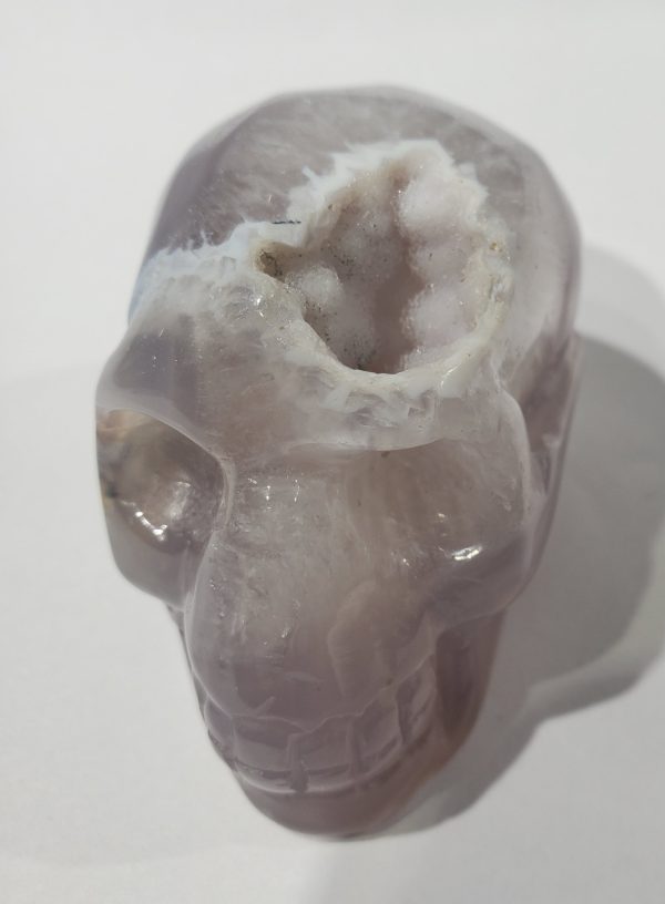 Agate Skull w  Druzy Quartz Online now