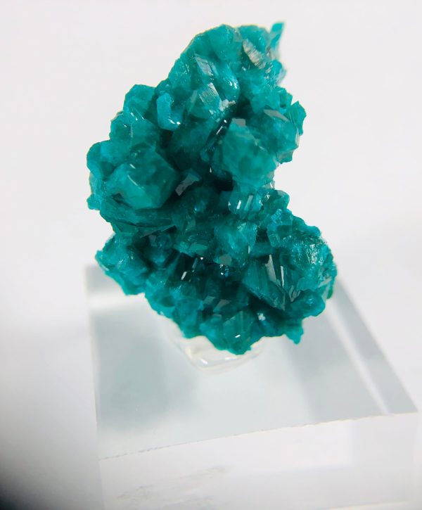 Dioptase Specimen, DRC on Sale