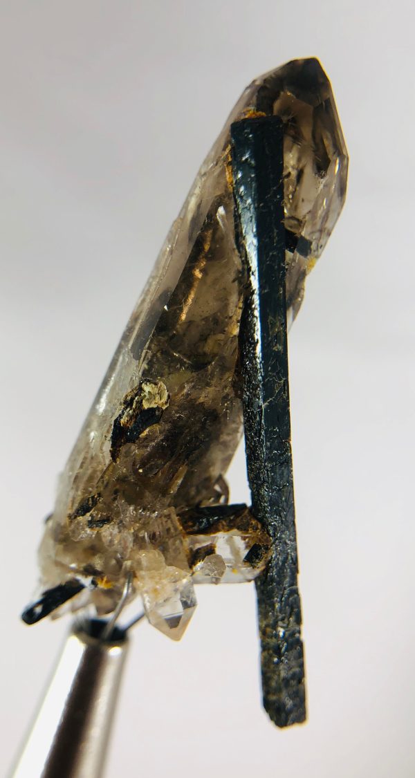 Aegirine with Smoky Quartz Supply