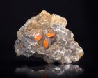 Wulfenite w  Calcite & Mimetite, North Geronimo Mine, Arizona Sale