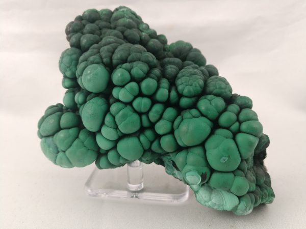 Botryodial Malachite, Congo on Sale