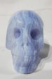 Blue Lace Agate Skull, Indonesia Fashion