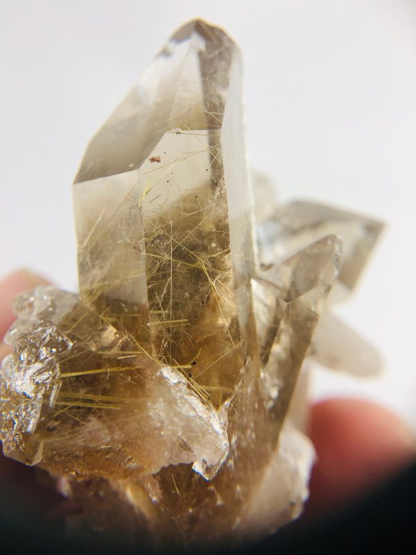 Rutilated Smoky Quartz Online