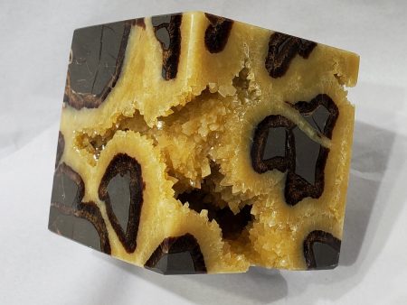 Septarian Cube, Utah Sale