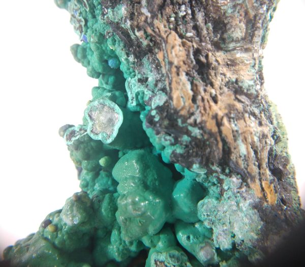 Malachite with Azurite, Phelps Open Pit Mine Discount