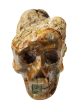 Petrified Wood Skull (Madagascar) Online