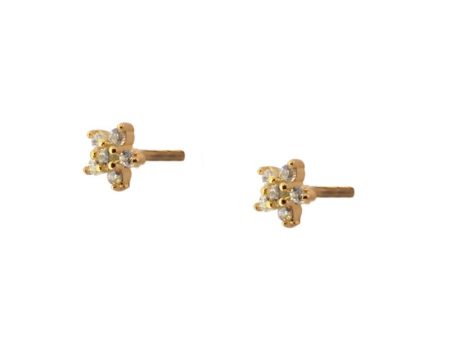 Pendientes Mini Estrella circonitas (plata y oro) For Discount