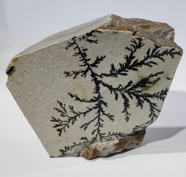 Dendrite (Utah) Online