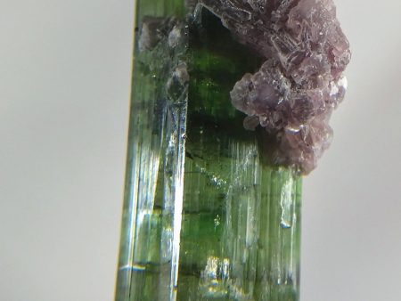 Verdelite Tourmaline with Lepidolite Fashion