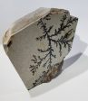 Dendrite (Utah) Online