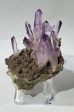 Vera Cruz Amethyst on Calcite Online