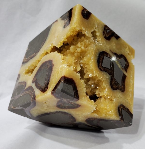 Septarian Cube, Utah Sale