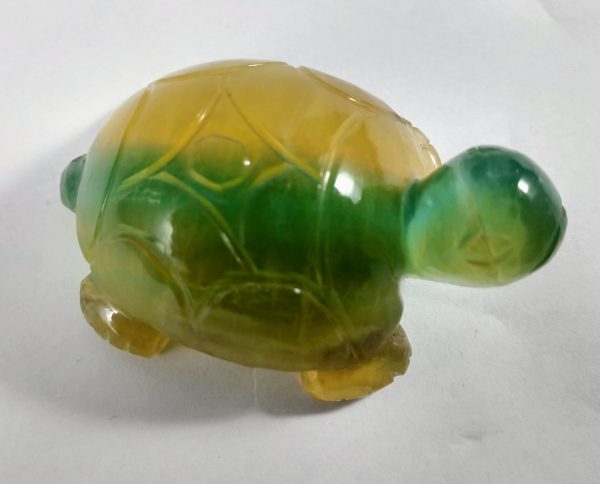 Fluorite Turtle Supply