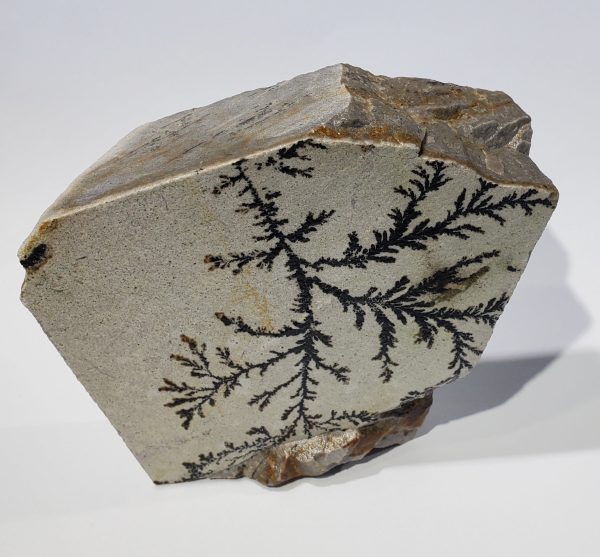 Dendrite (Utah) Online