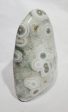 Ocean Jasper Free Form,  Madagascar For Discount