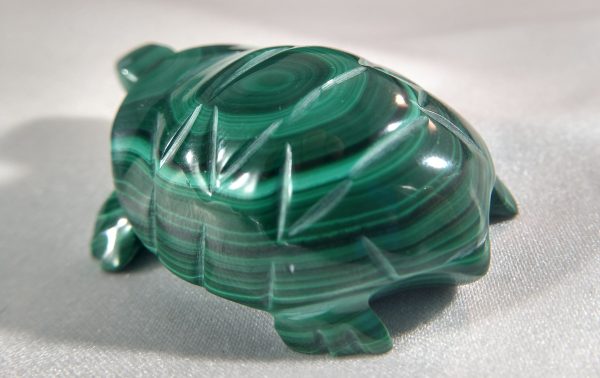 Malachite Turtle Online Sale