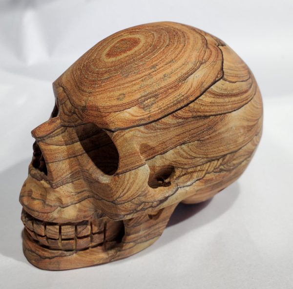 Sandstone Skull on Sale