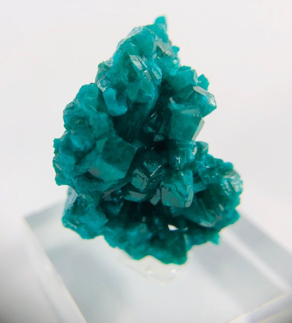 Dioptase Specimen, DRC on Sale